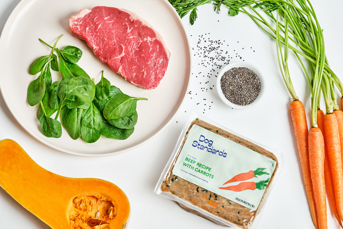 Dog Standards High Quality Fresh Dog Food Value dog-standards-high-quality-fresh-dog-food-value