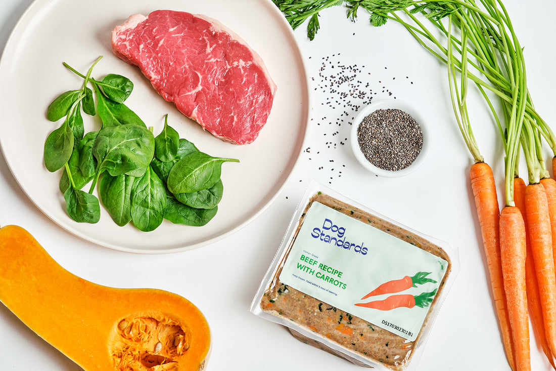 Unleash Your Dog's Potential with Dog Standards: Canada's Fresh, Human-Grade Dog Food Delivery Service
