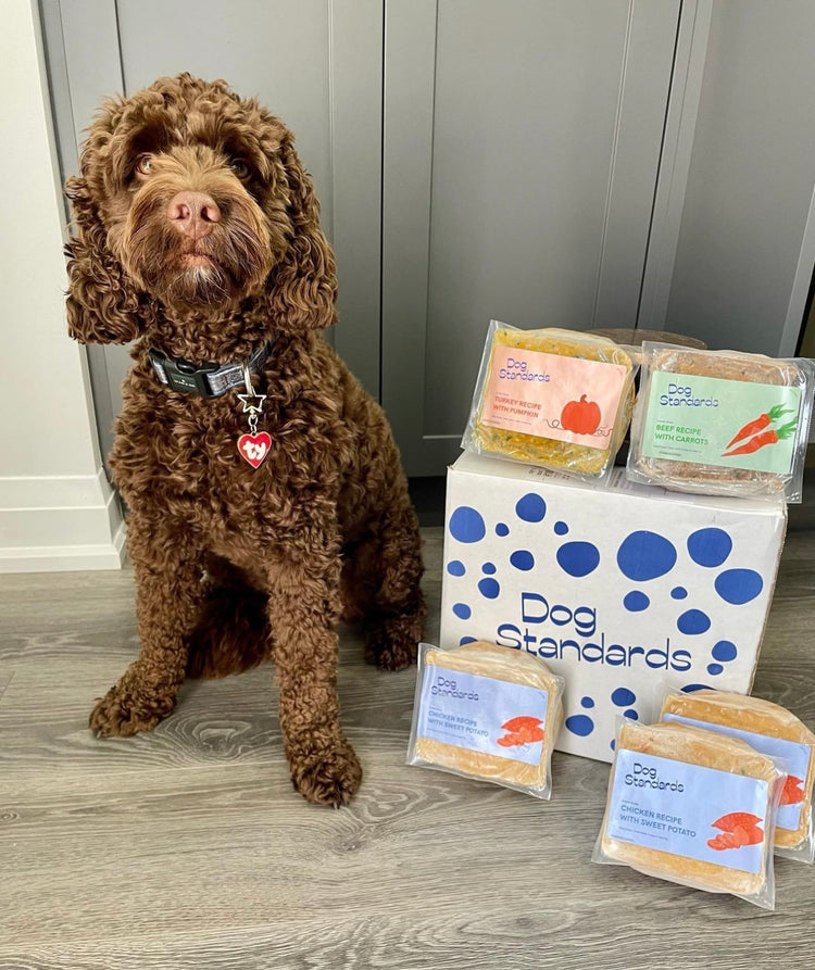 2 Week Topper Trial Box - Mix With Your Pup's Existing Food For Health Benefits