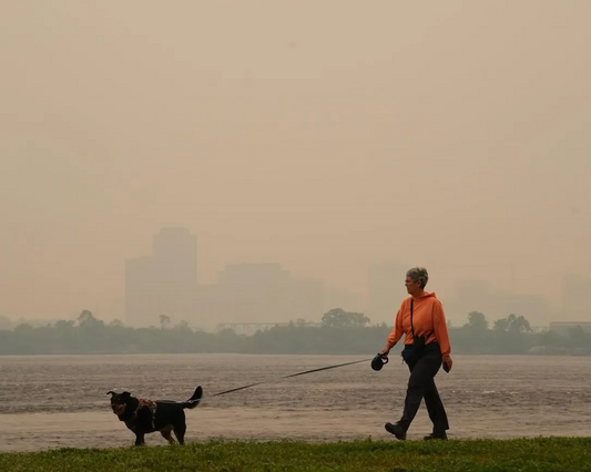 Photo of own and dog walking around with orange skies 