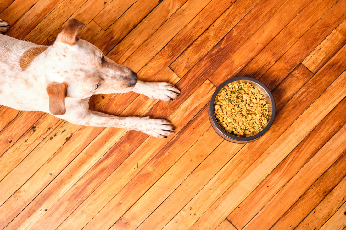 Mixing Fresh Food with Kibble