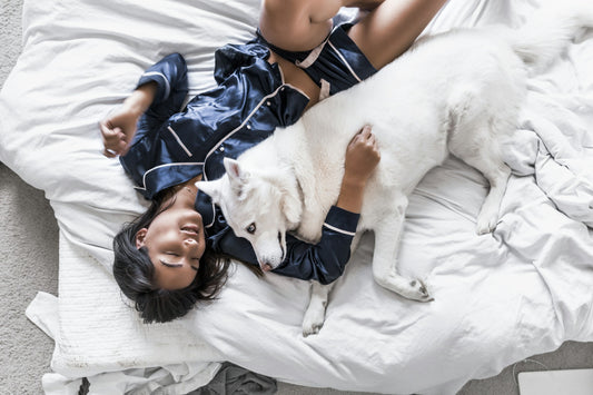 Girl wearing pajamas sleeping on a white bed cuddling with an all white Husky