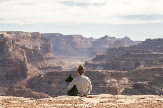 Landscape photo of girl and her black dog sitting in the rocky mountains with the sun shining