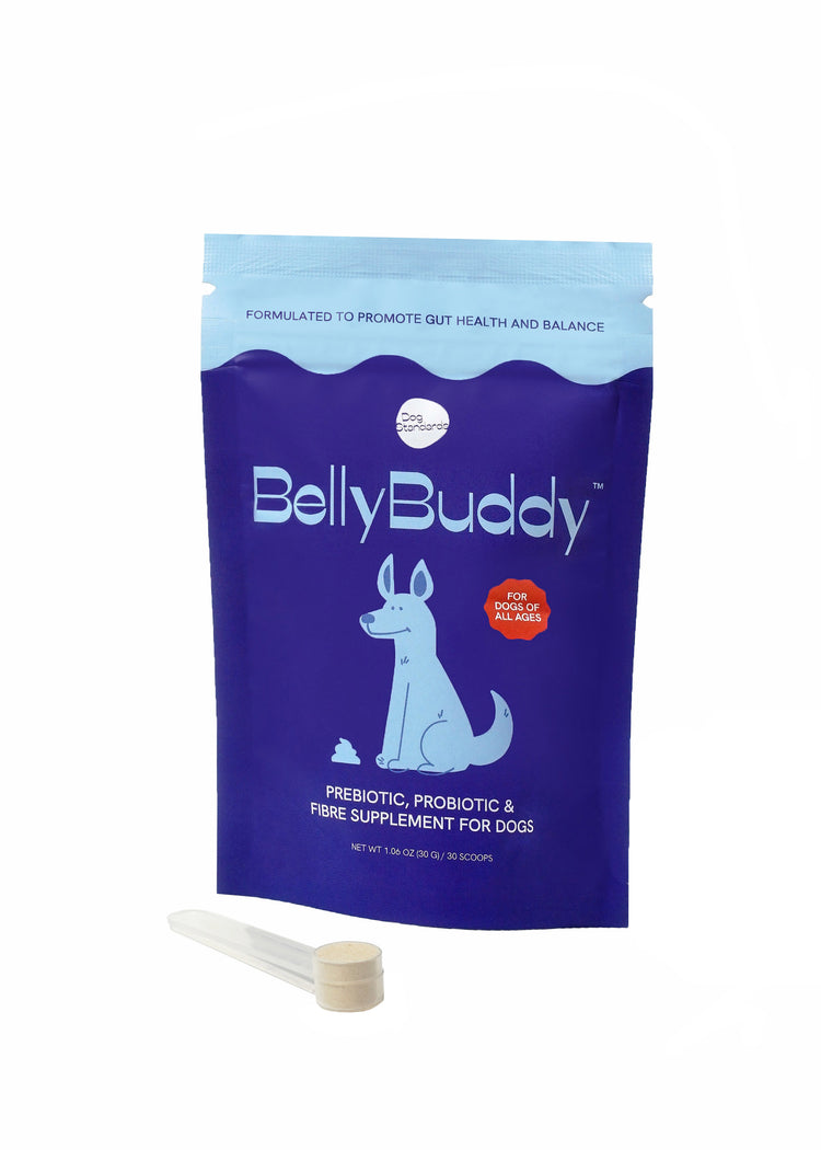 BellyBuddy Probiotic Supplement