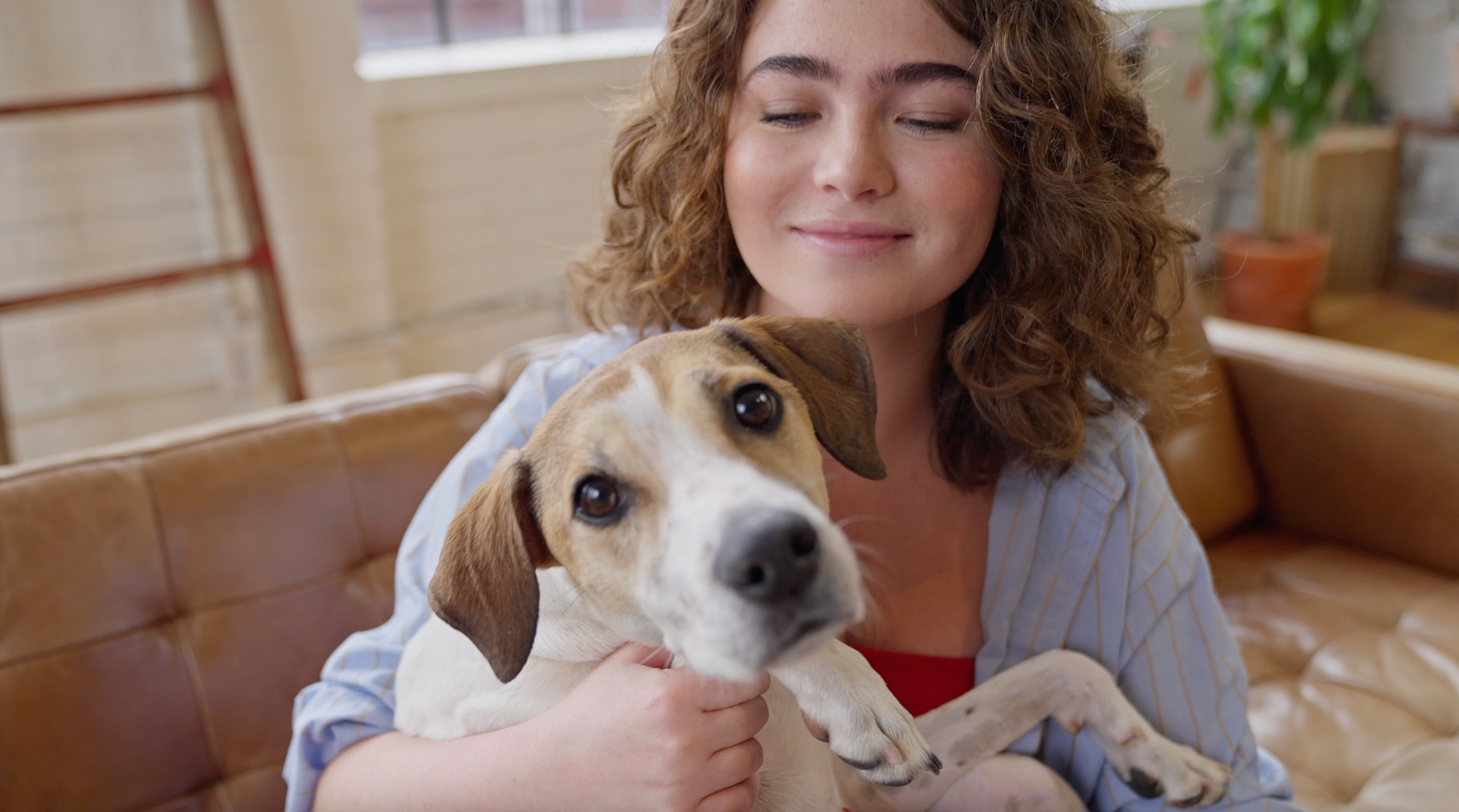 Woman offering dog food to a curious dog in a kitchen.