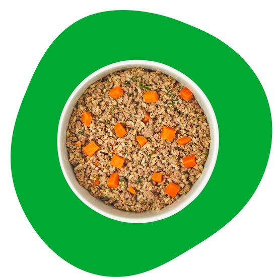 Home cooked pet food delivery online