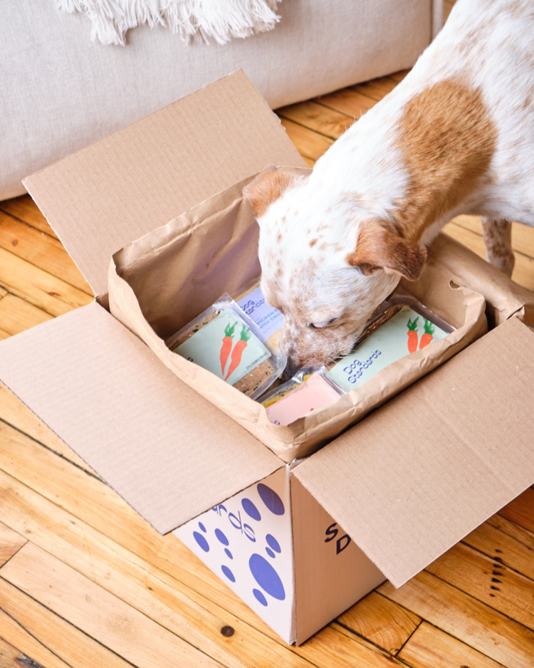 2 Week Trial Box - Fresh Dog Food For Health Benefits