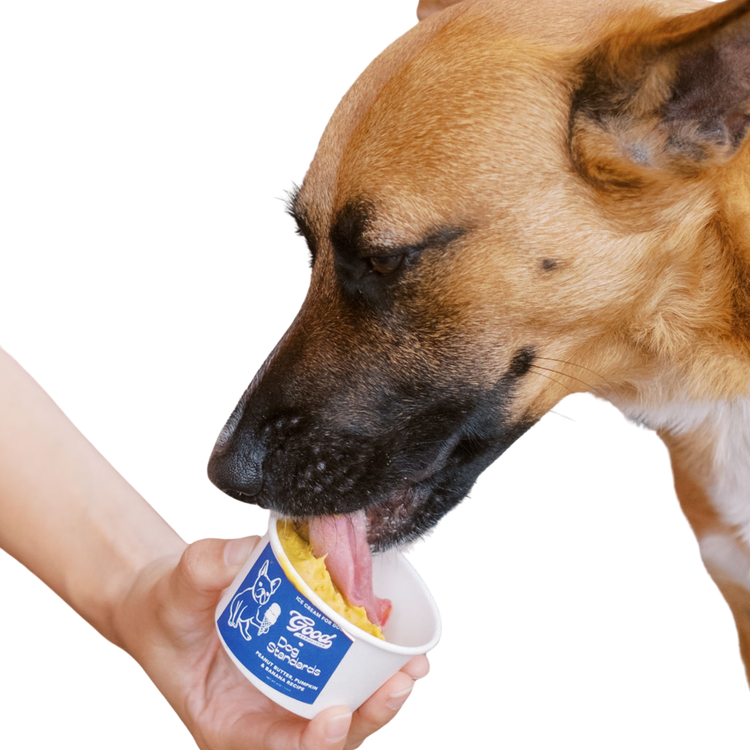 Dairy-Free Ice Cream for Dogs